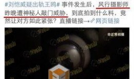 新疆最新八卦爆料视频,揭秘神秘事件背后的真相！